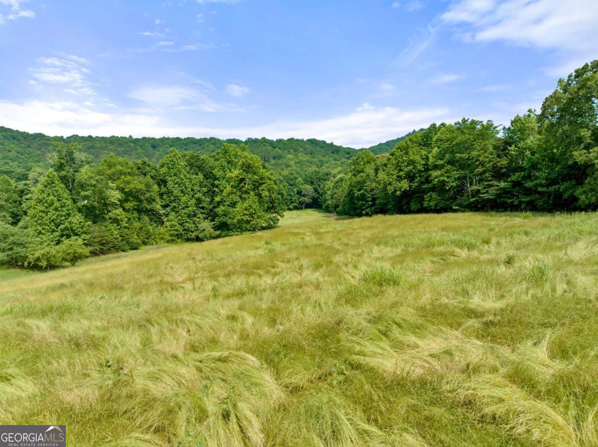 0 Freeman View Trail Cleveland GA 30528