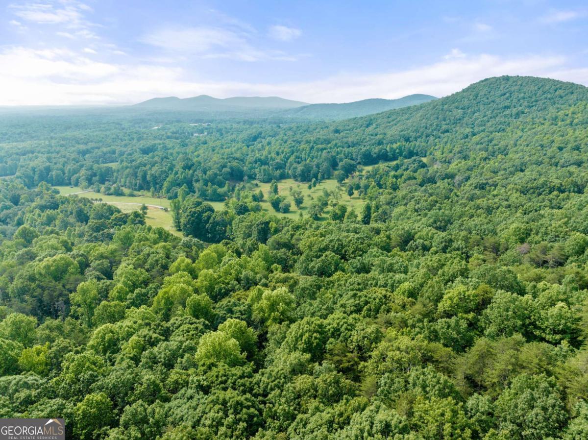 0 Freeman View Trail Cleveland GA 30528