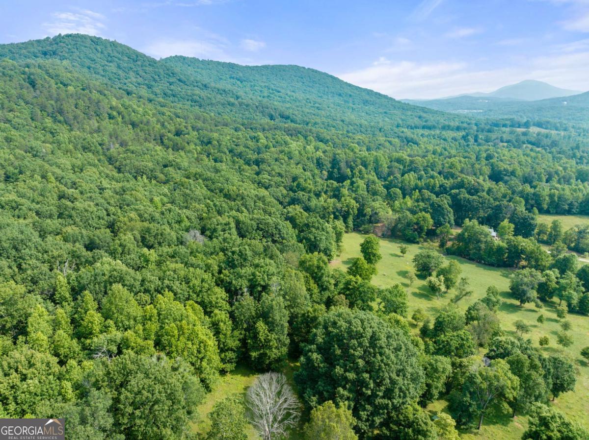 0 Freeman View Trail Cleveland GA 30528