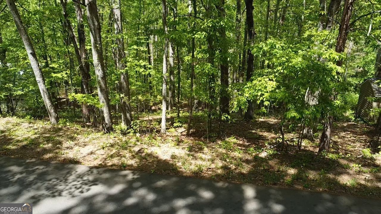 110 Honeysuckle Drive Cumming GA 30040