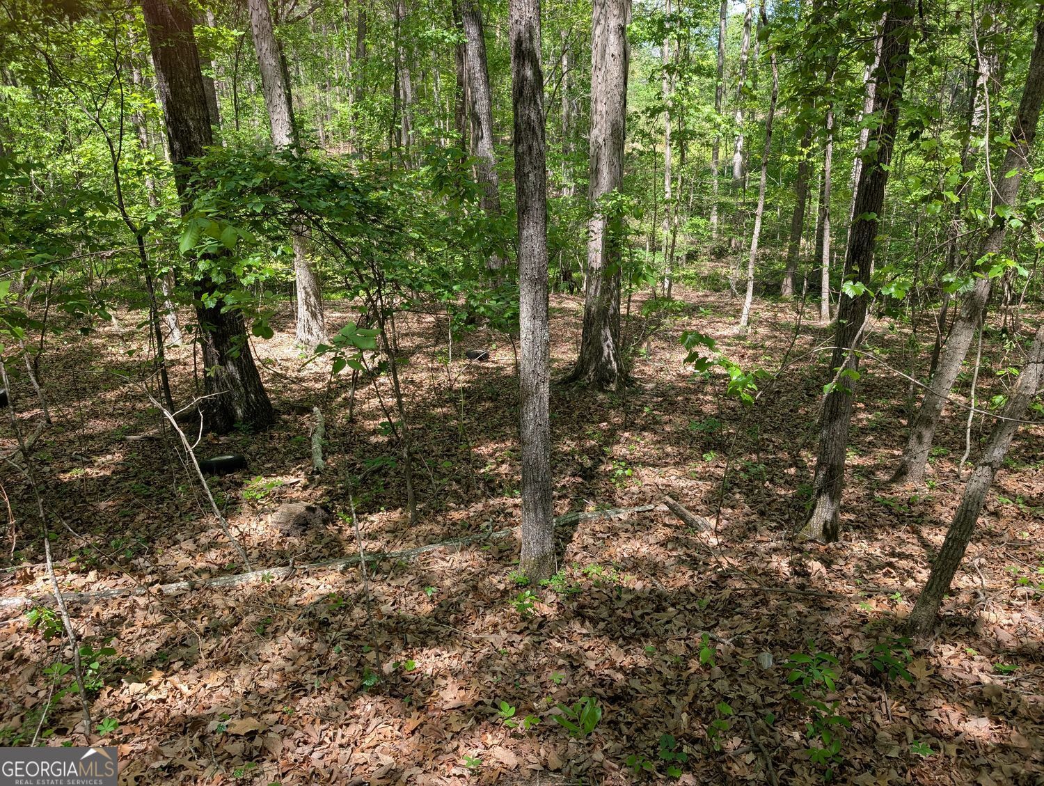 110 Honeysuckle Drive Cumming GA 30040