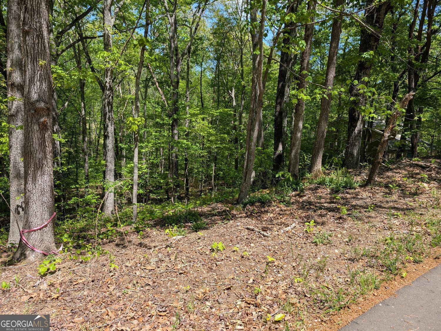 110 Honeysuckle Drive Cumming GA 30040