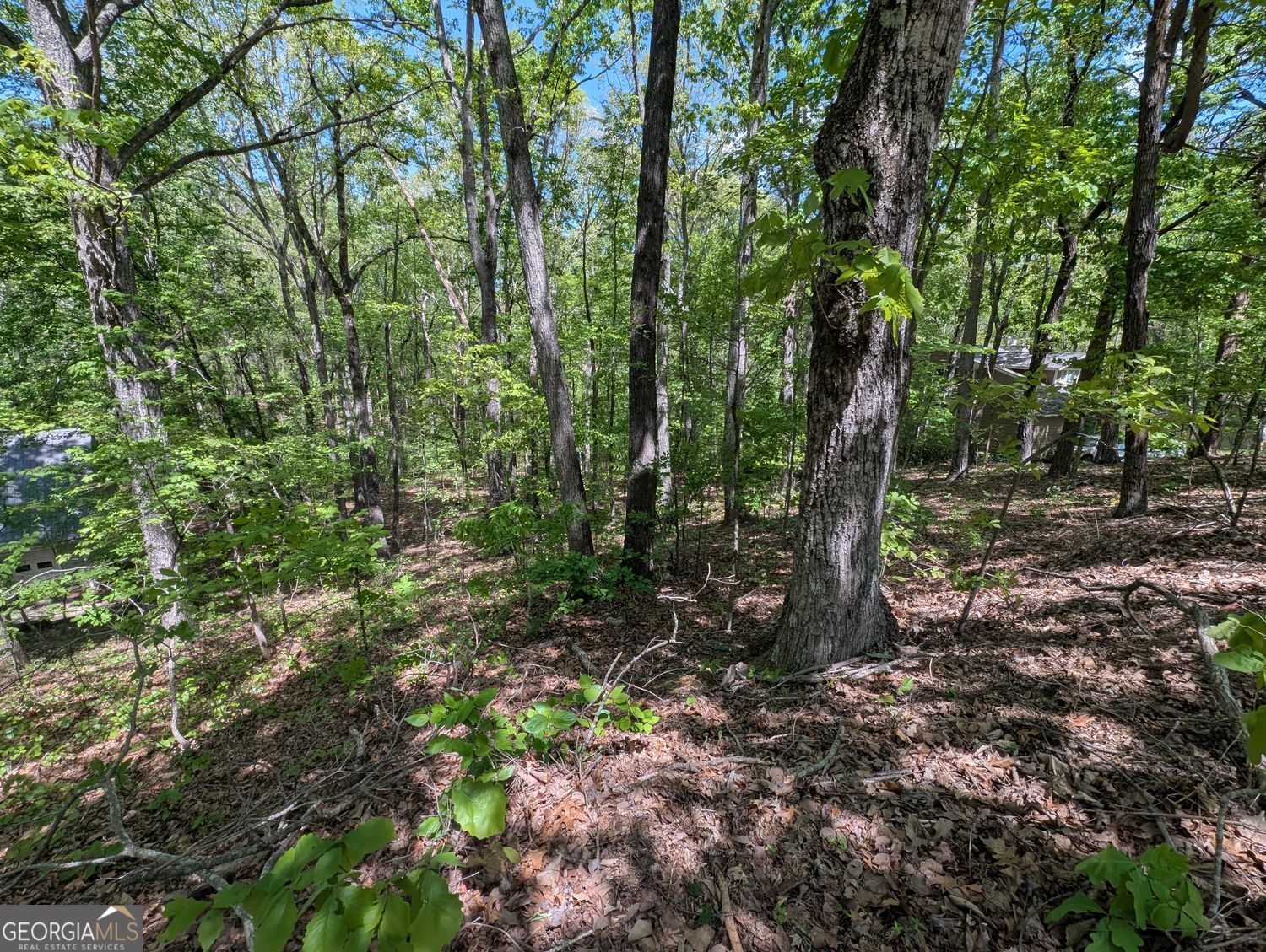 110 Honeysuckle Drive Cumming GA 30040
