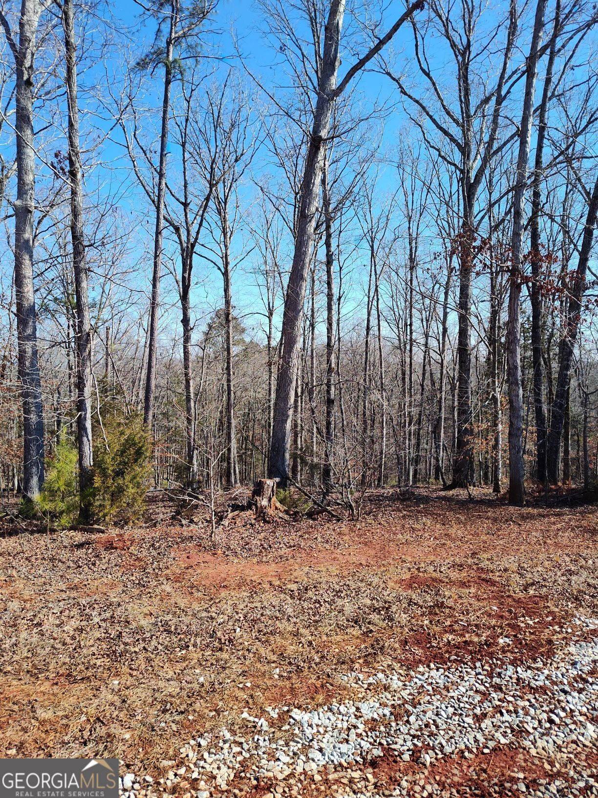 1798 Pearl Mill Road Elberton GA 30635