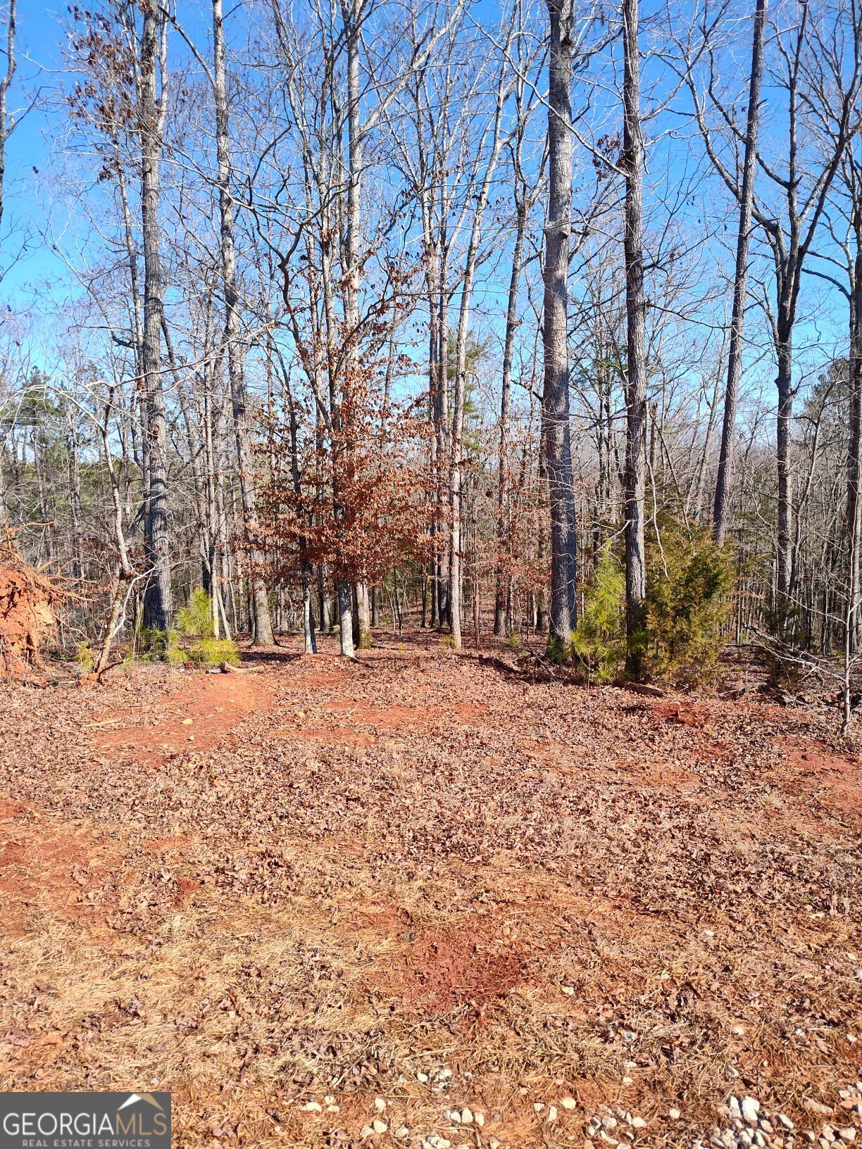 1798 Pearl Mill Road Elberton GA 30635