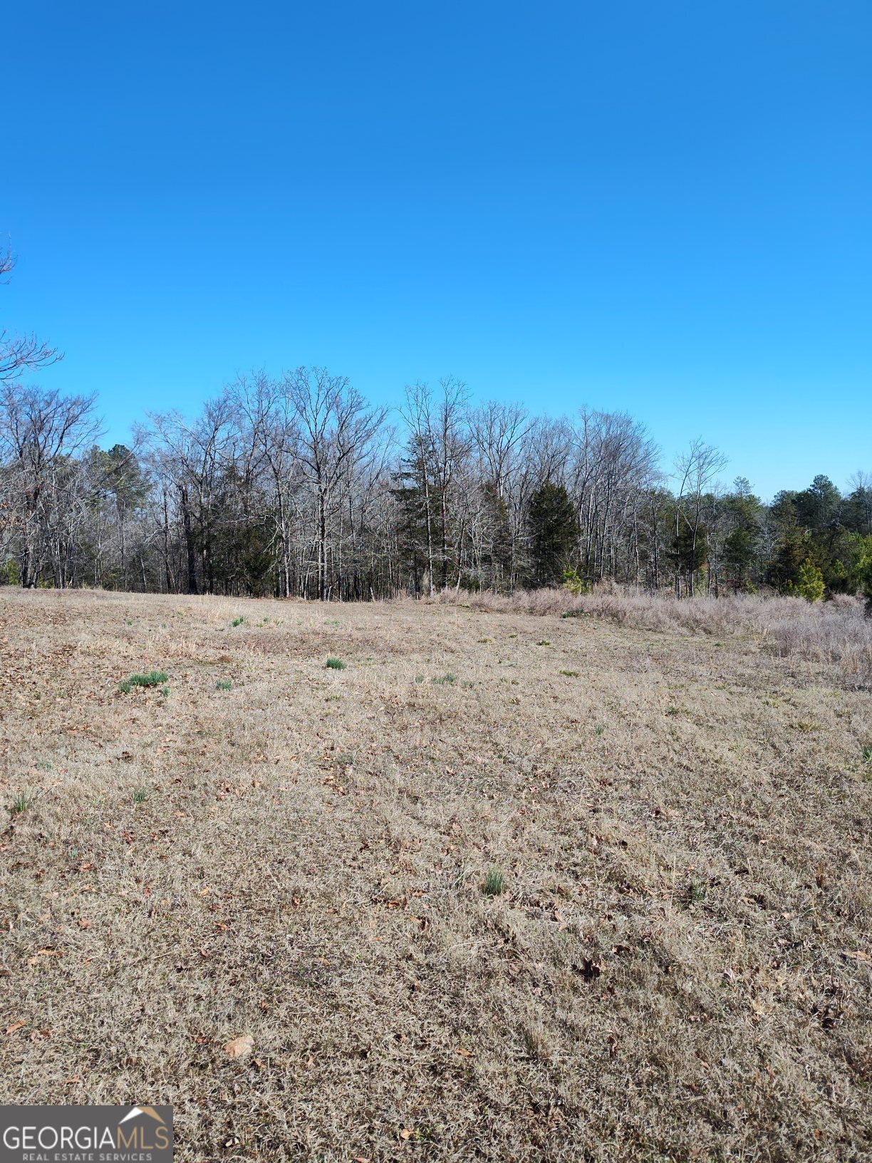 1798 Pearl Mill Road Elberton GA 30635