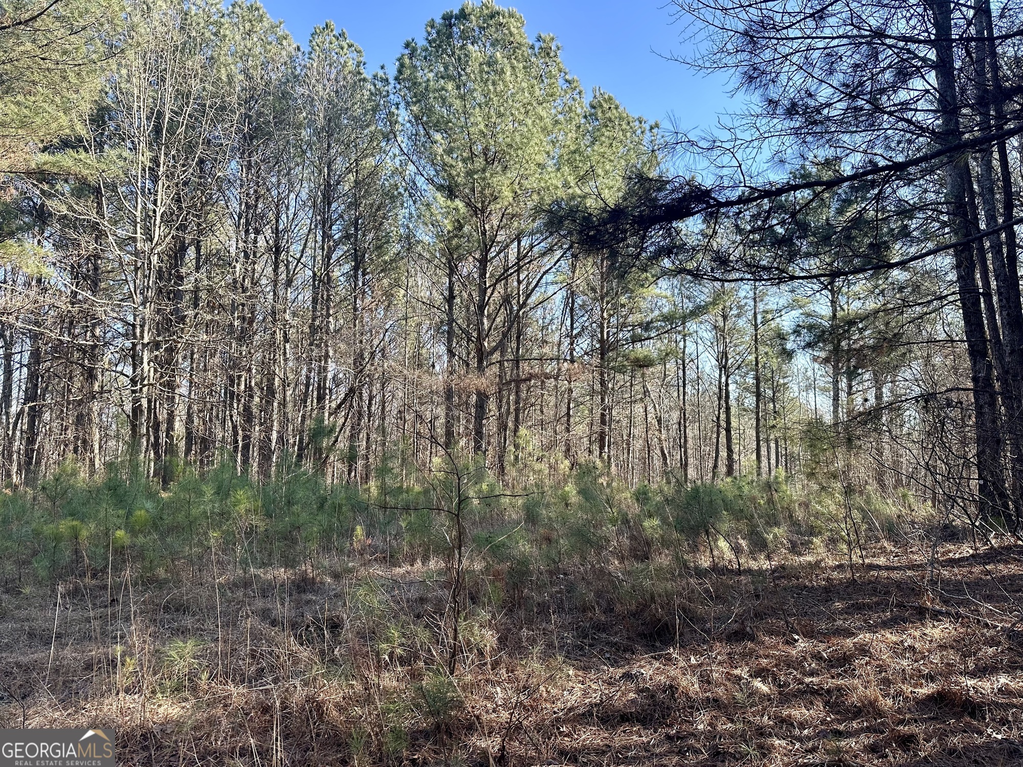 0 Budapest Spur Tallapoosa GA 30176