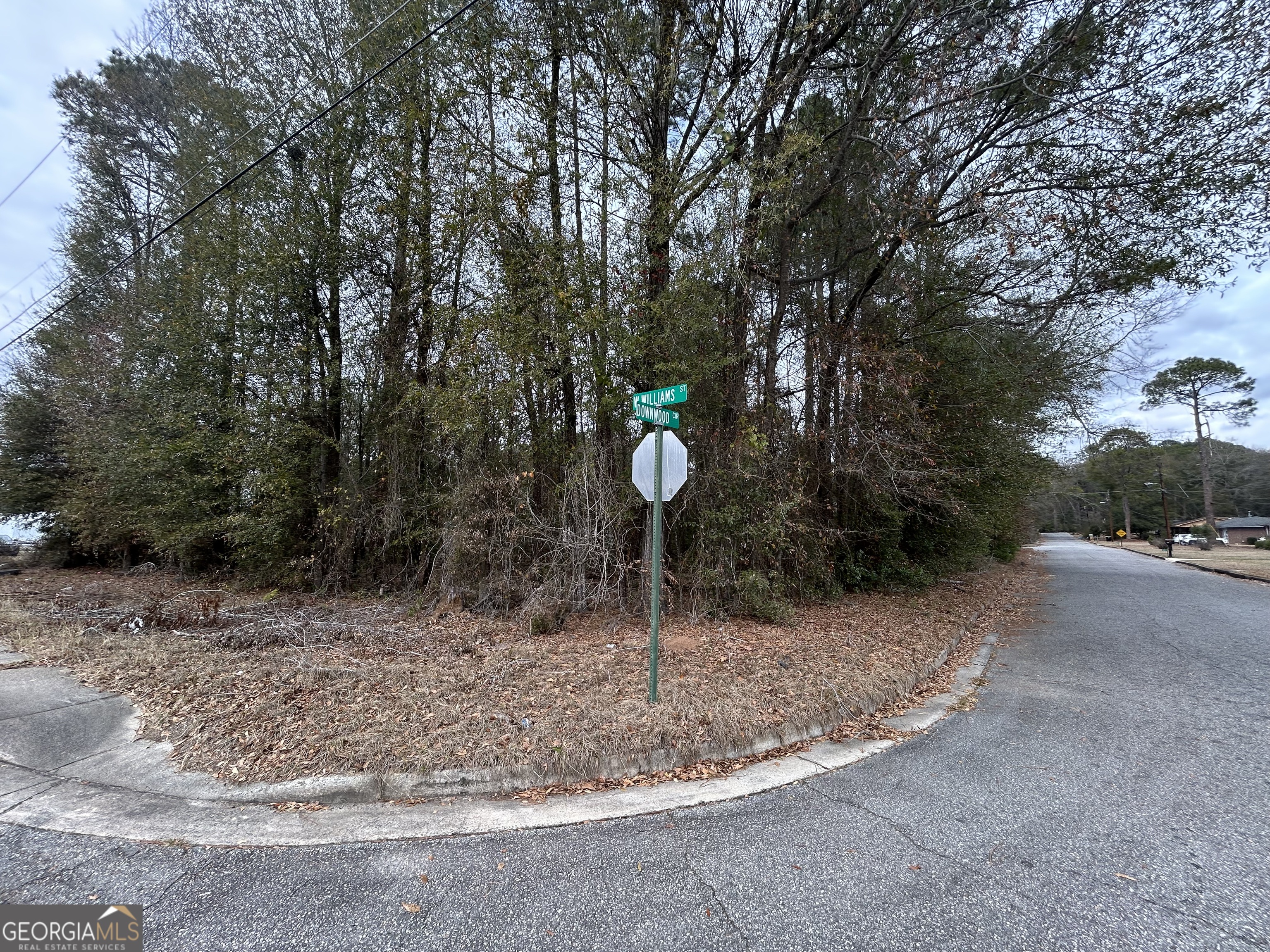 W Williams Street Montezuma GA 31063