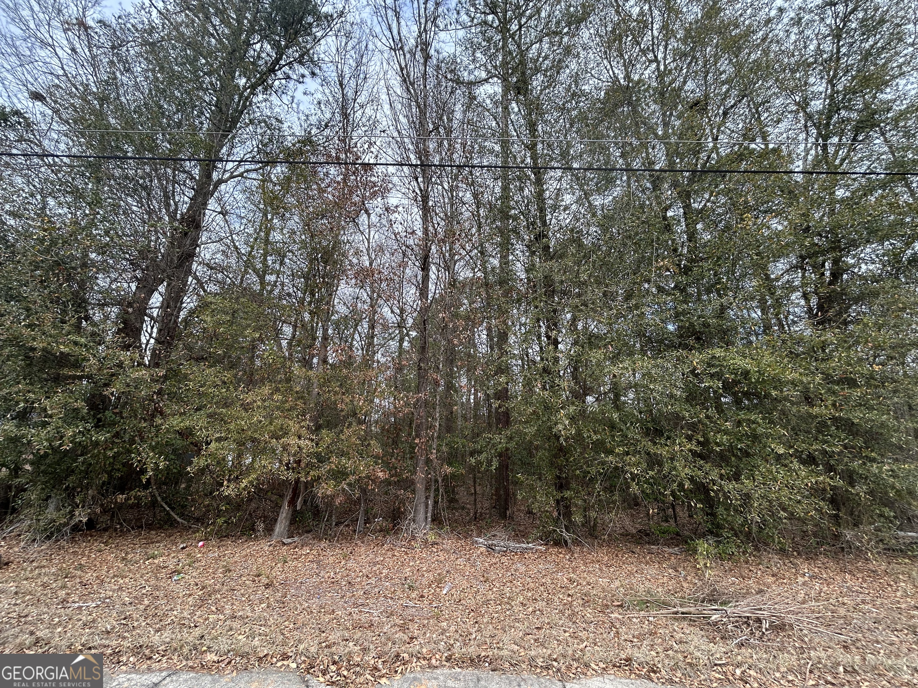W Williams Street Montezuma GA 31063