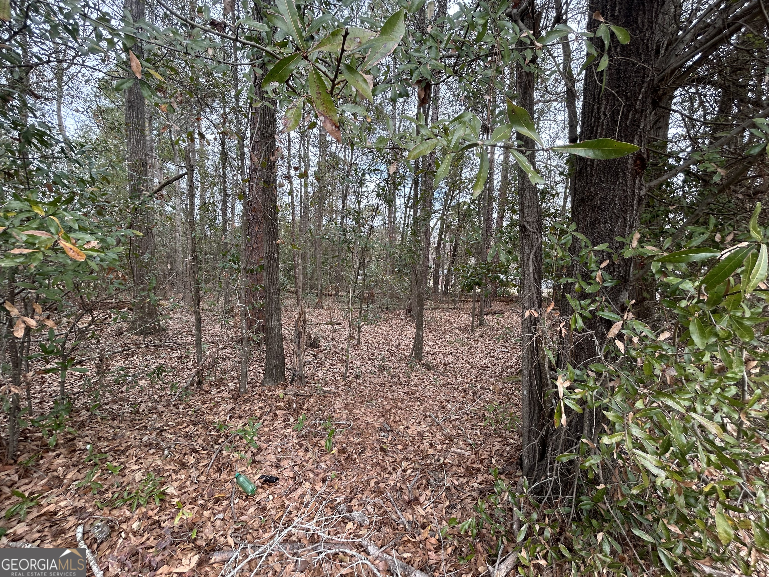 W Williams Street Montezuma GA 31063