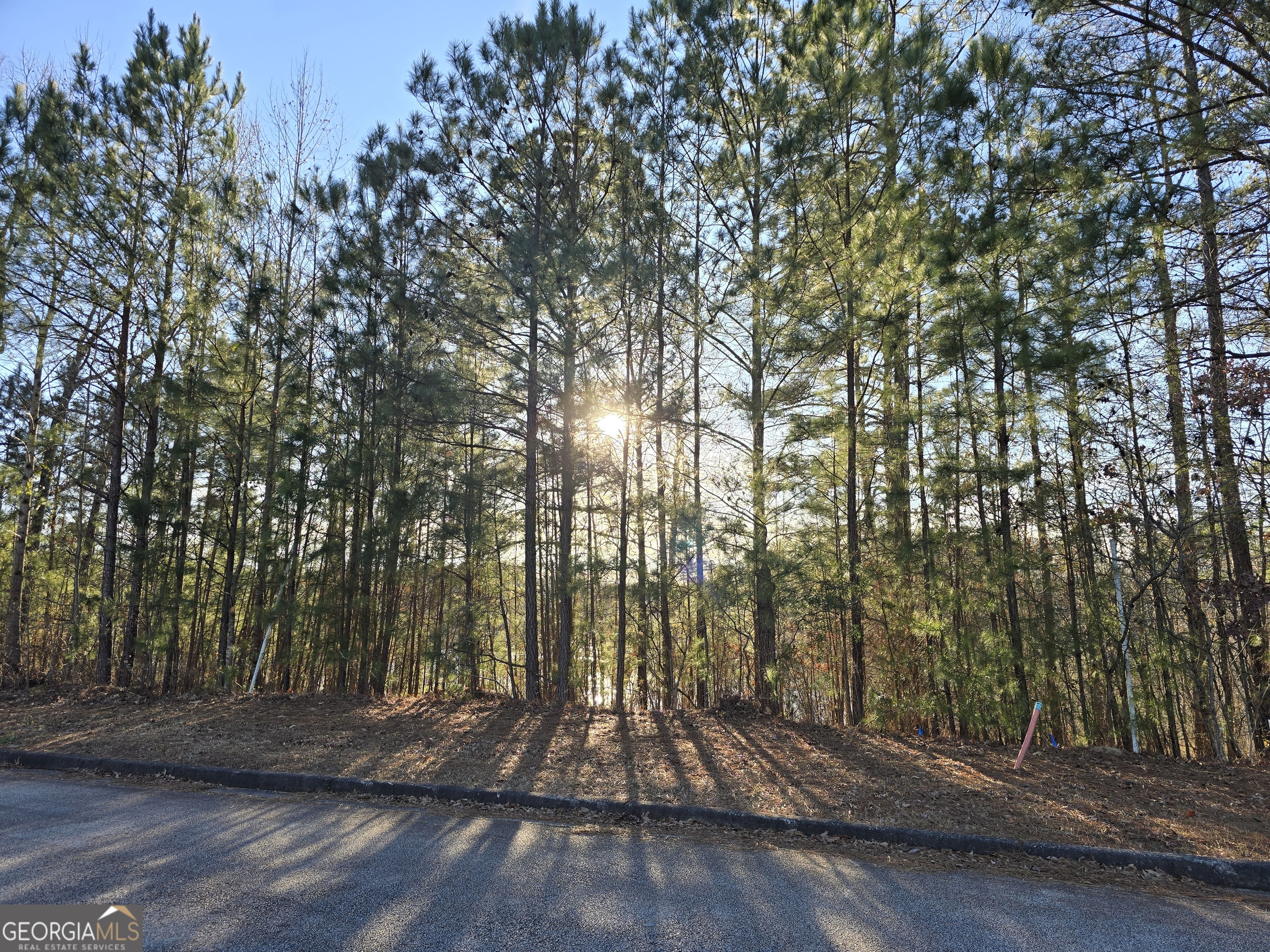 8342 Loch Lomand Lane Winston GA 30187