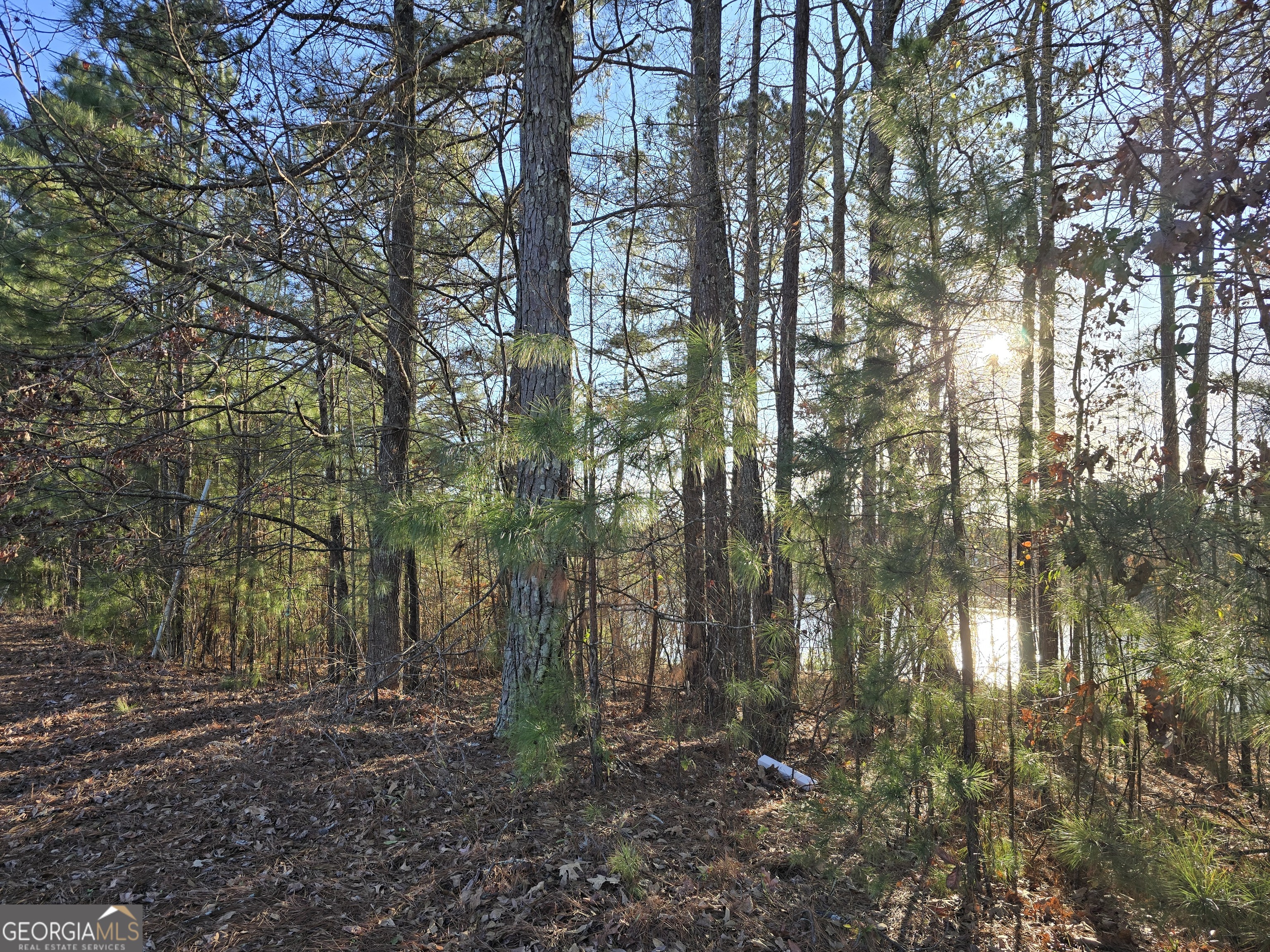 8342 Loch Lomand Lane Winston GA 30187
