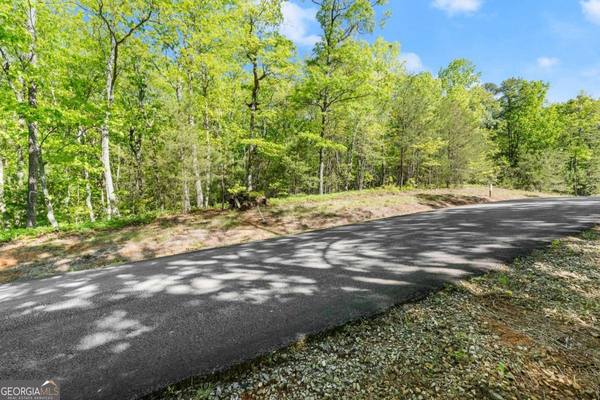 0 Pippin Circle Clarkesville GA 30523