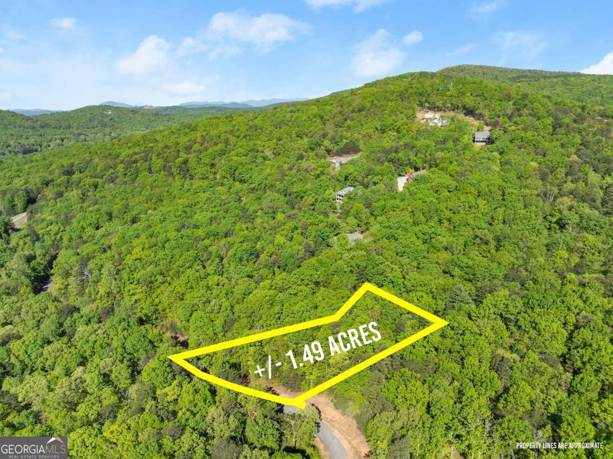 0 Pippin Circle Clarkesville GA 30523