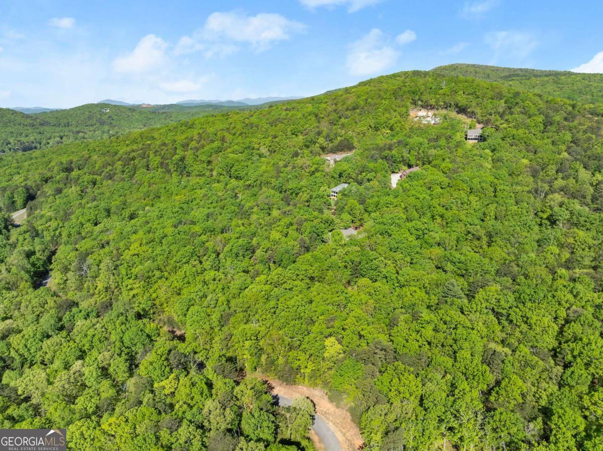 0 Pippin Circle Clarkesville GA 30523