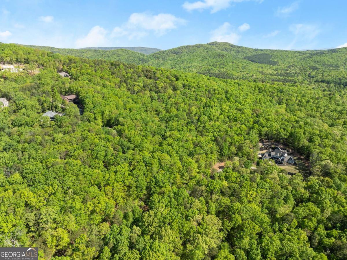 0 Pippin Circle Clarkesville GA 30523