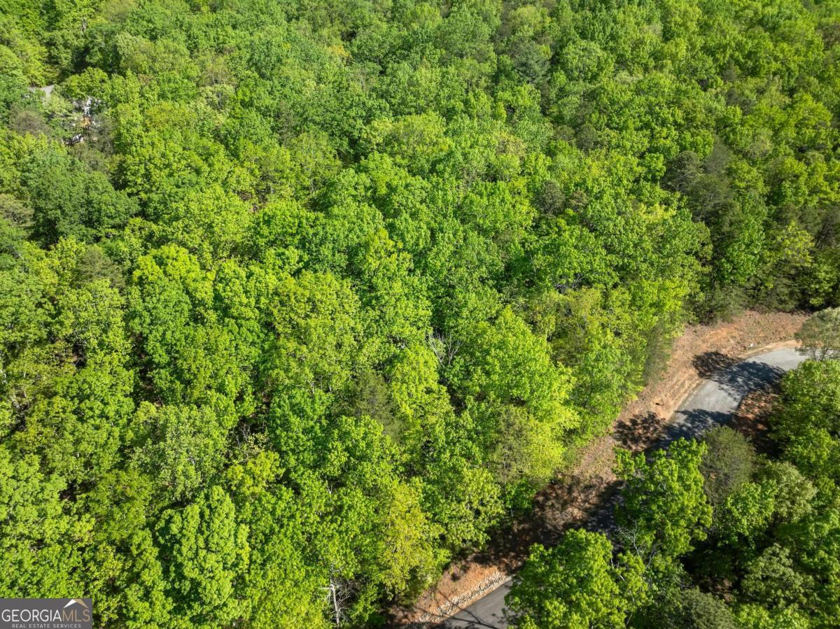 0 Pippin Circle Clarkesville GA 30523