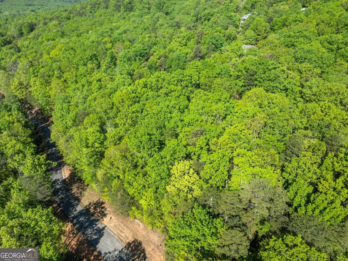 0 Pippin Circle Clarkesville GA 30523