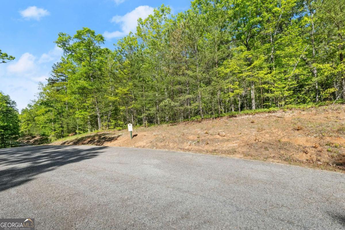 0 Pippin Circle Clarkesville GA 30523