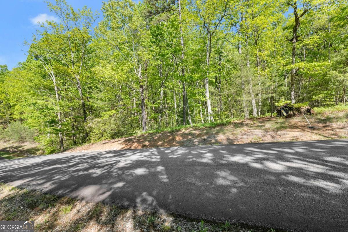 0 Pippin Circle Clarkesville GA 30523