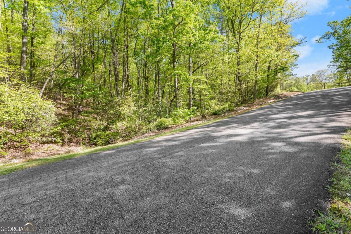 0 Pippin Circle Clarkesville GA 30523