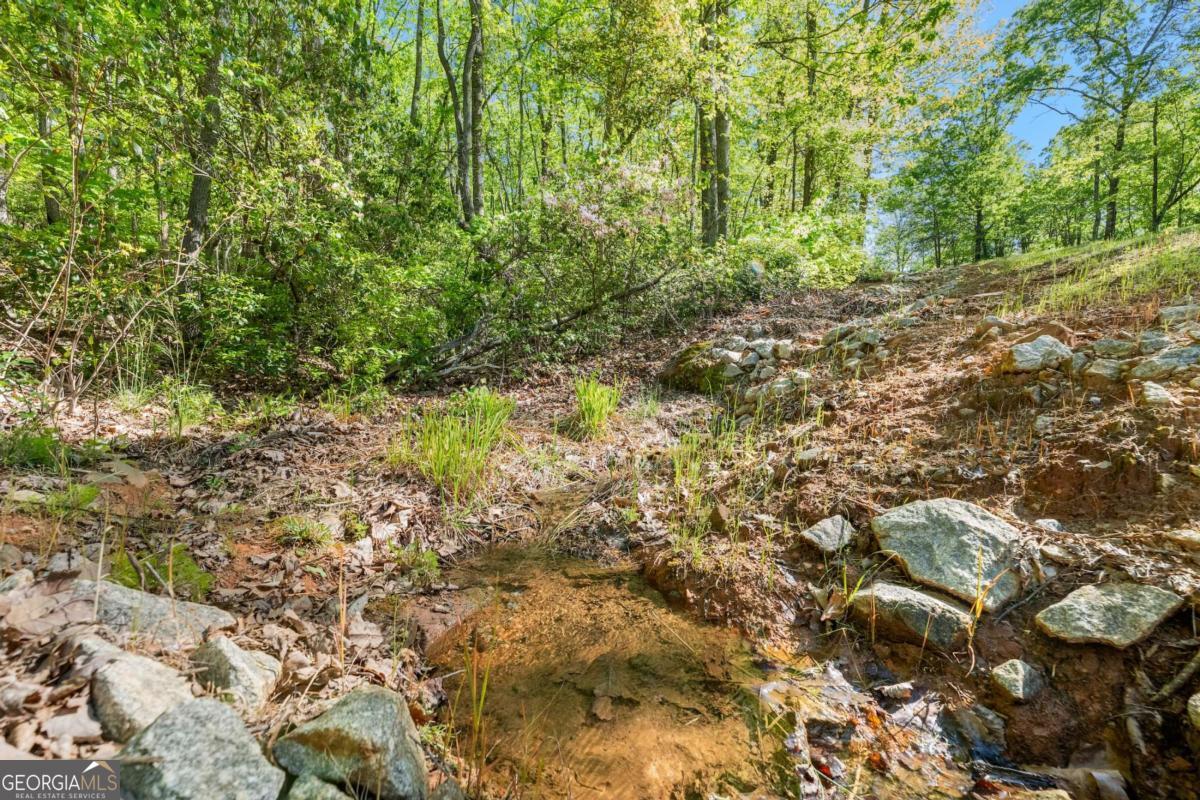 0 Pippin Circle Clarkesville GA 30523