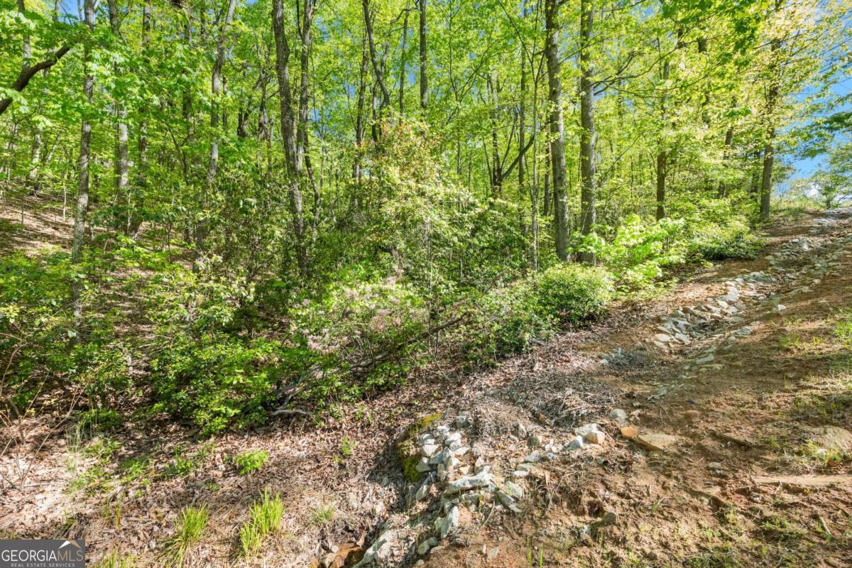 0 Pippin Circle Clarkesville GA 30523