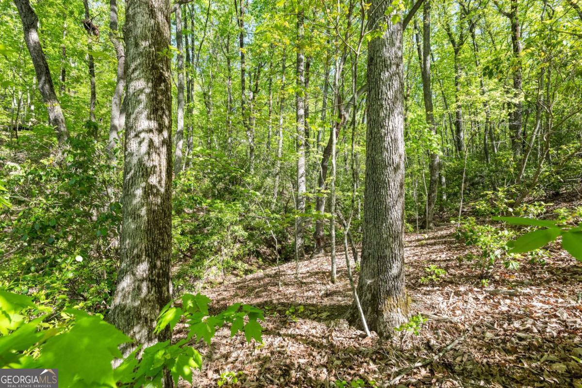 0 Pippin Circle Clarkesville GA 30523