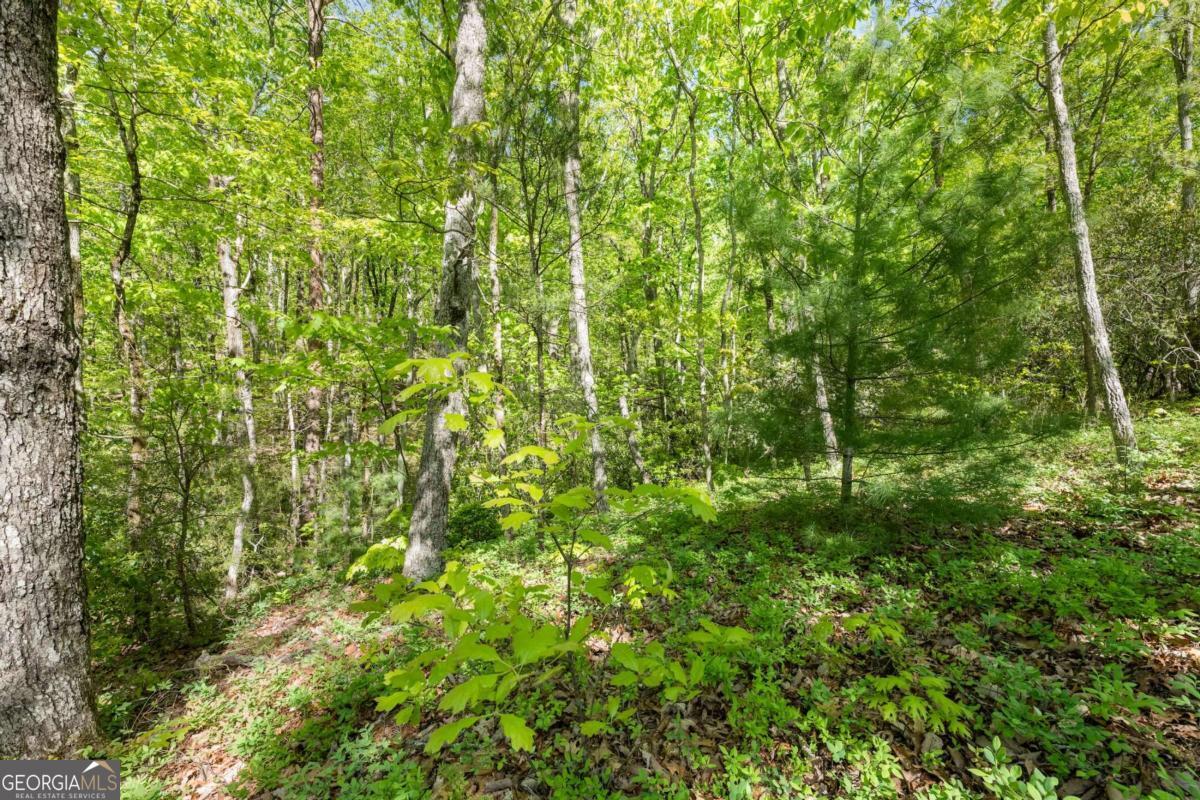 0 Pippin Circle Clarkesville GA 30523