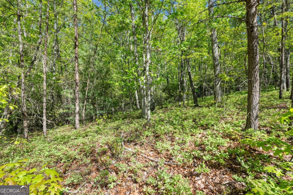 0 Pippin Circle Clarkesville GA 30523