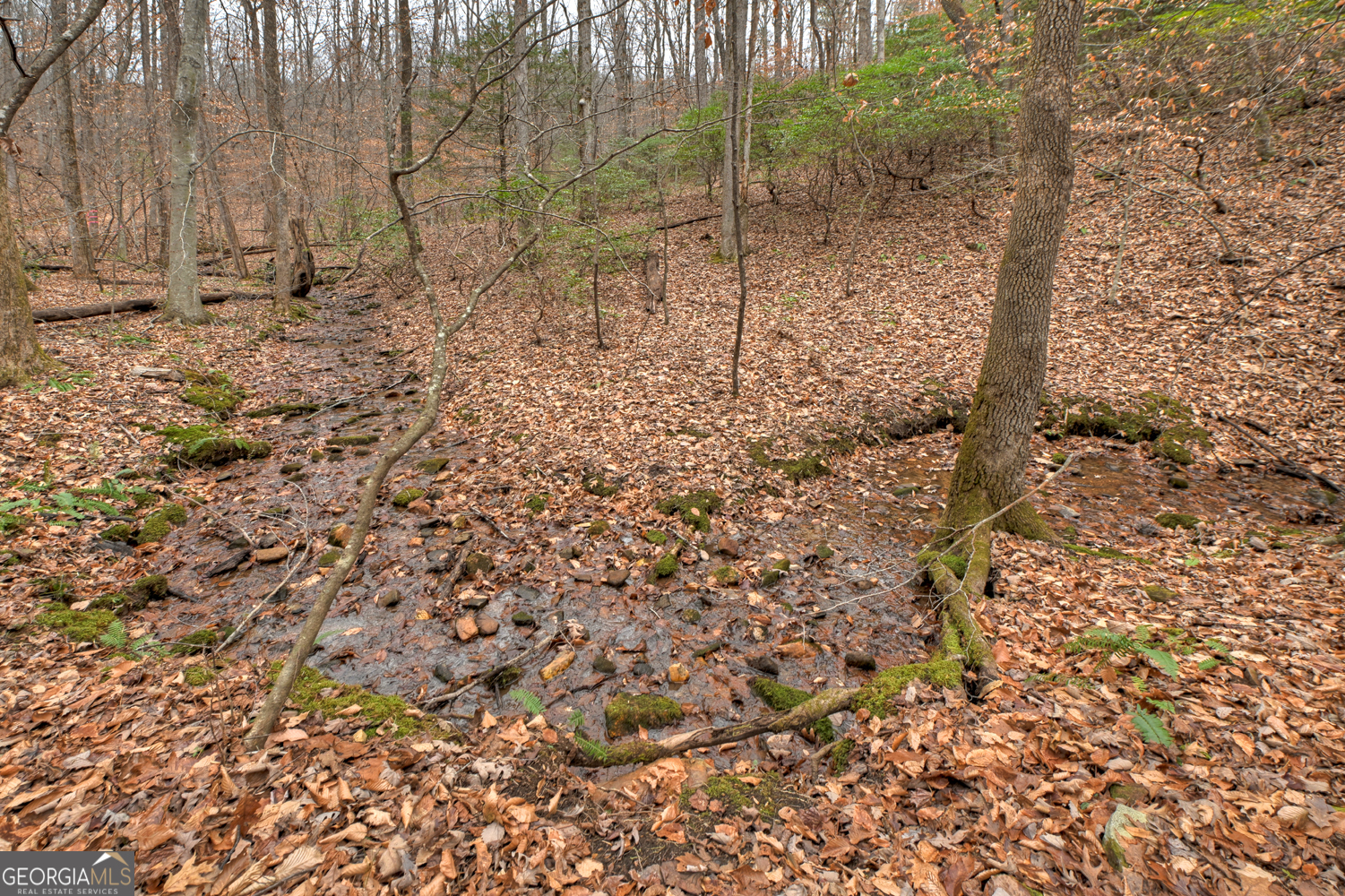 0 Spruill Drive Ellijay GA 30536