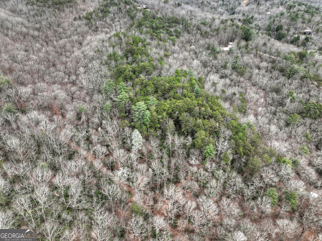 0 Spruill Drive Ellijay GA 30536