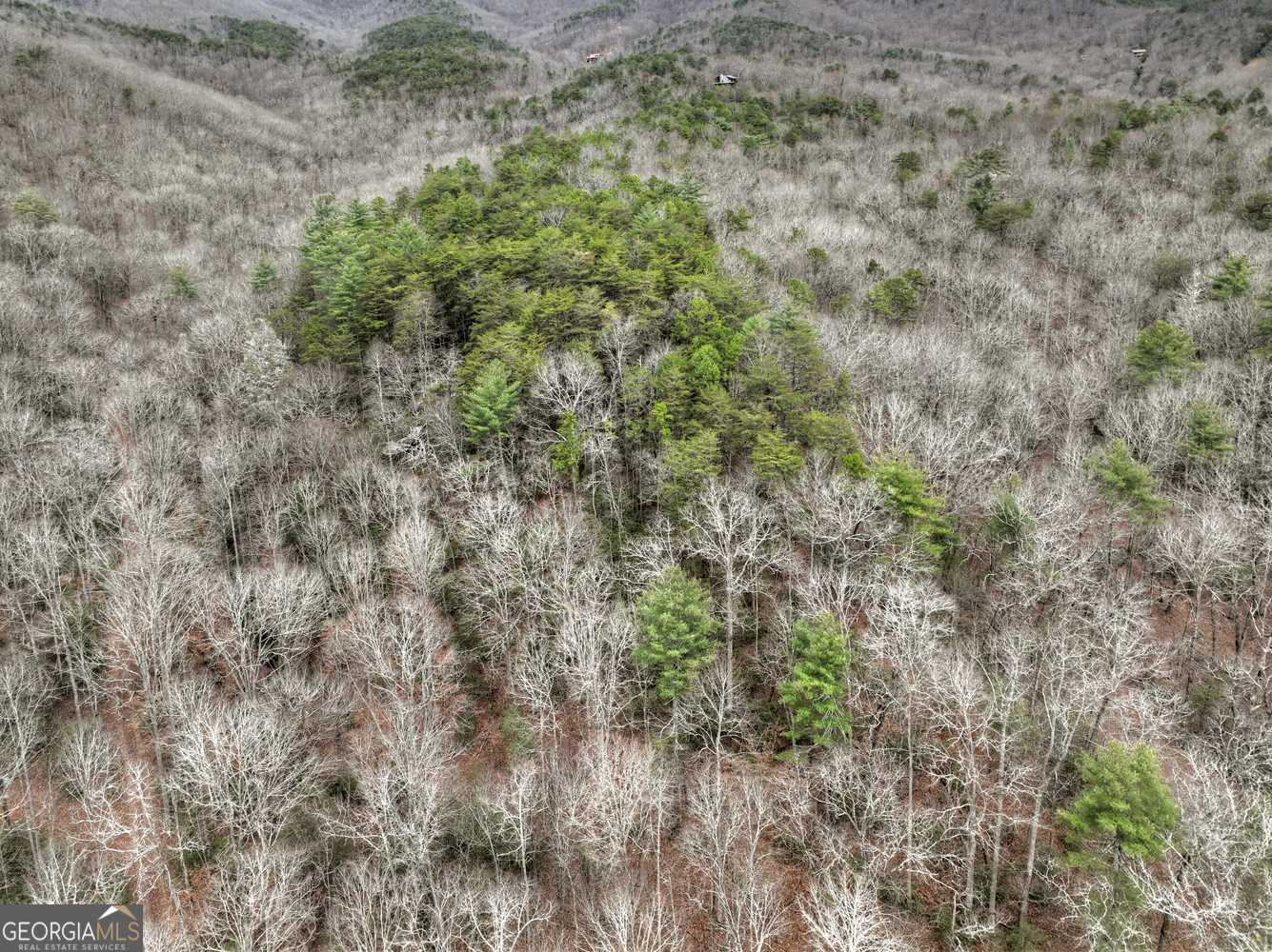 0 Spruill Drive Ellijay GA 30536