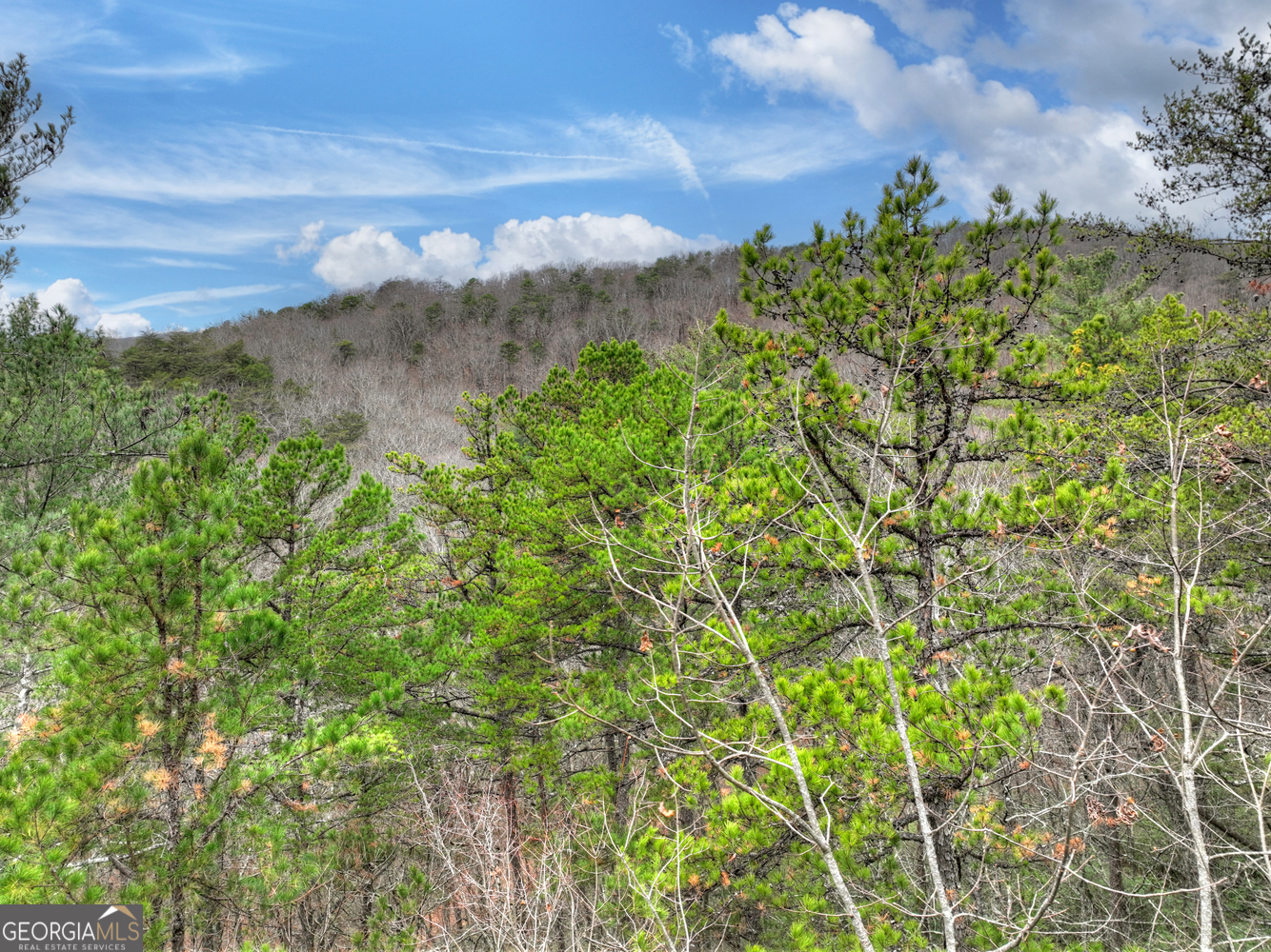 0 Spruill Drive Ellijay GA 30536