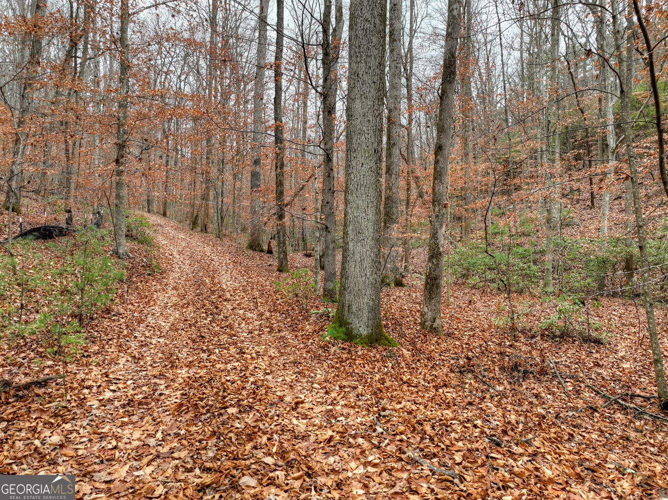 0 Spruill Drive Ellijay GA 30536