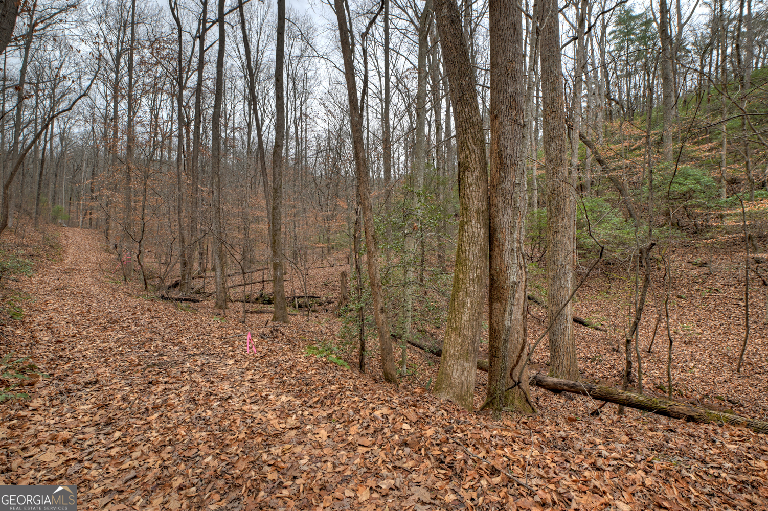 0 Spruill Drive Ellijay GA 30536