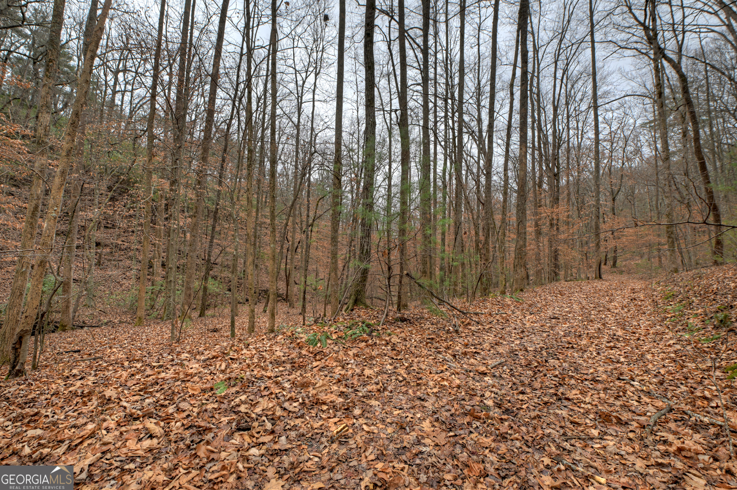 0 Spruill Drive Ellijay GA 30536