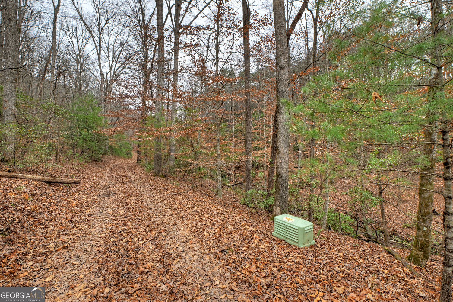 0 Spruill Drive Ellijay GA 30536