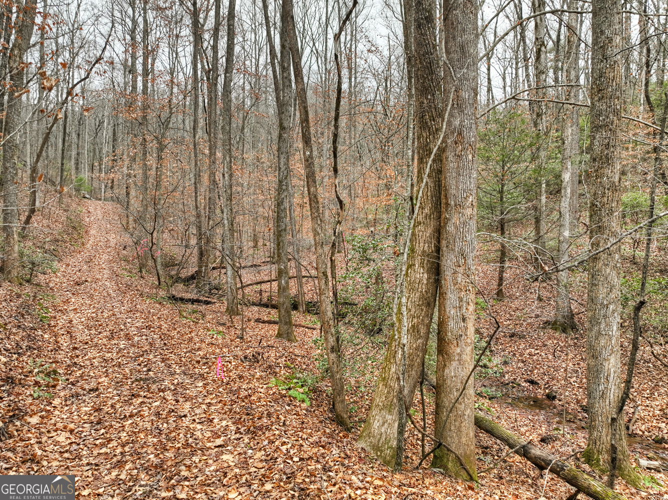 0 Spruill Drive Ellijay GA 30536