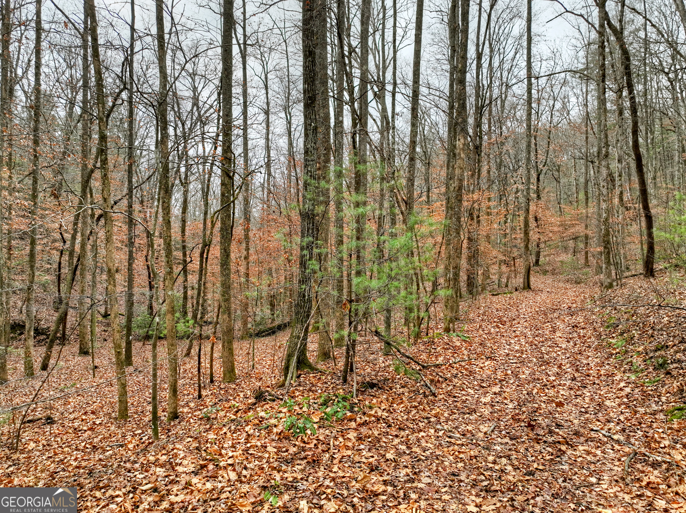 0 Spruill Drive Ellijay GA 30536