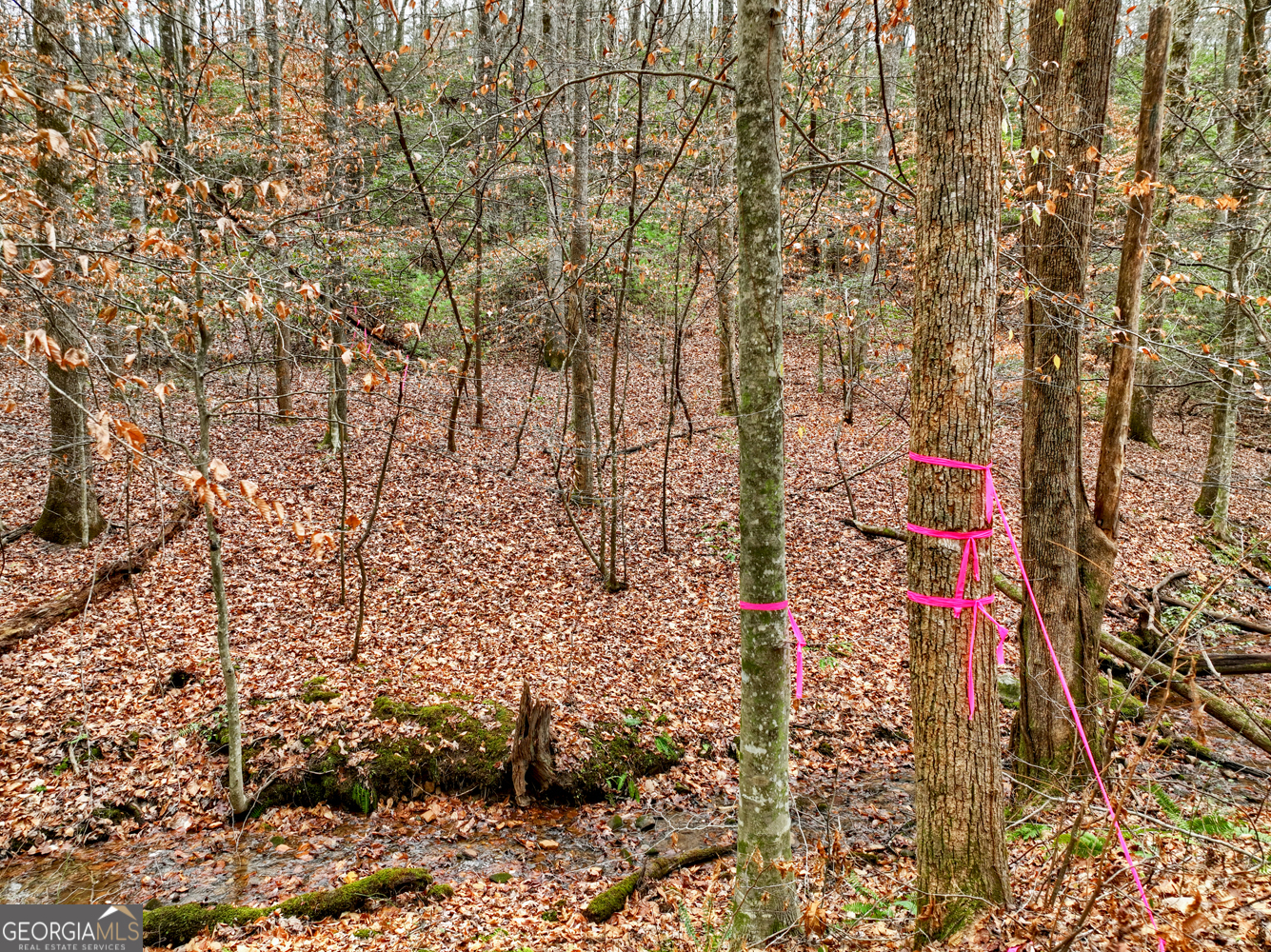 0 Spruill Drive Ellijay GA 30536
