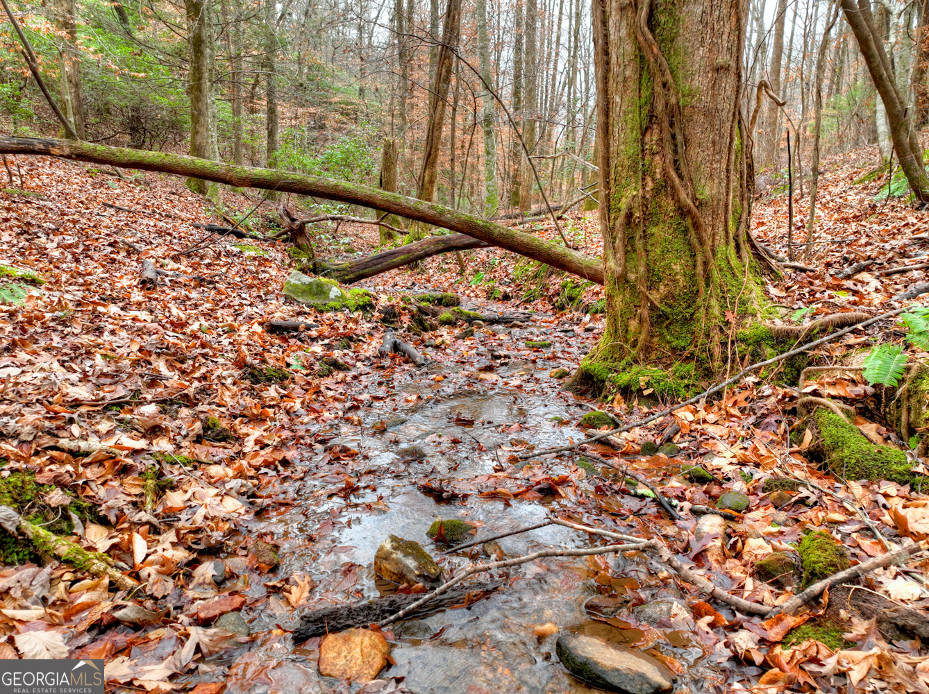 0 Spruill Drive Ellijay GA 30536