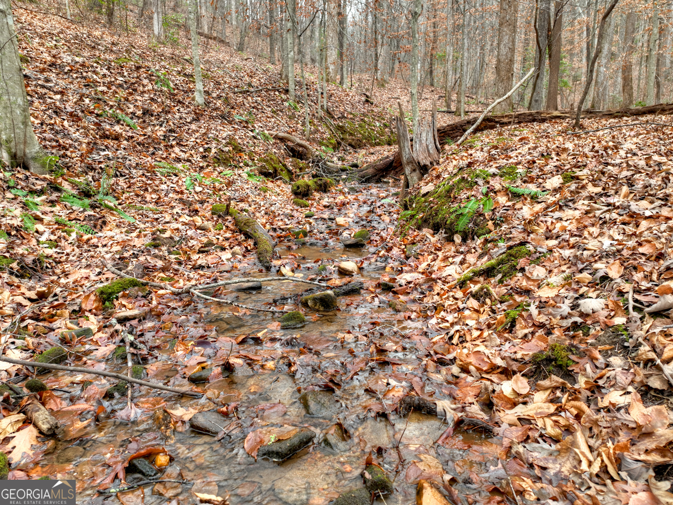 0 Spruill Drive Ellijay GA 30536