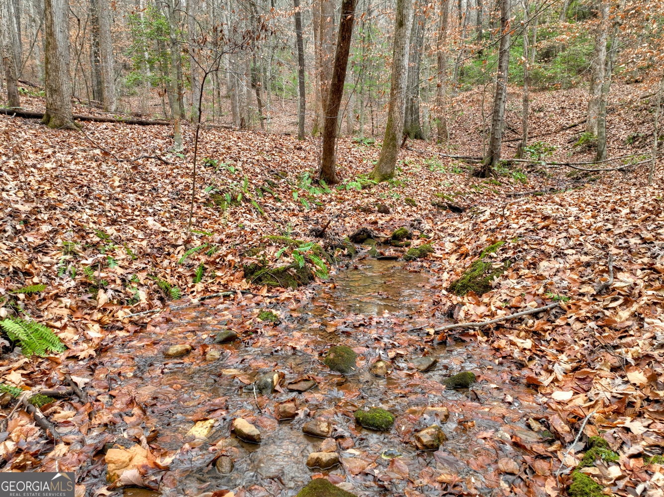 0 Spruill Drive Ellijay GA 30536