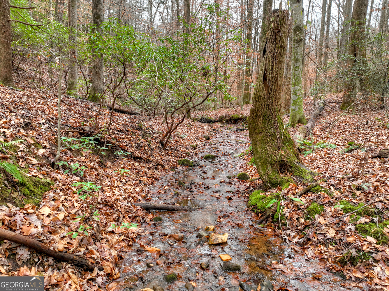 0 Spruill Drive Ellijay GA 30536
