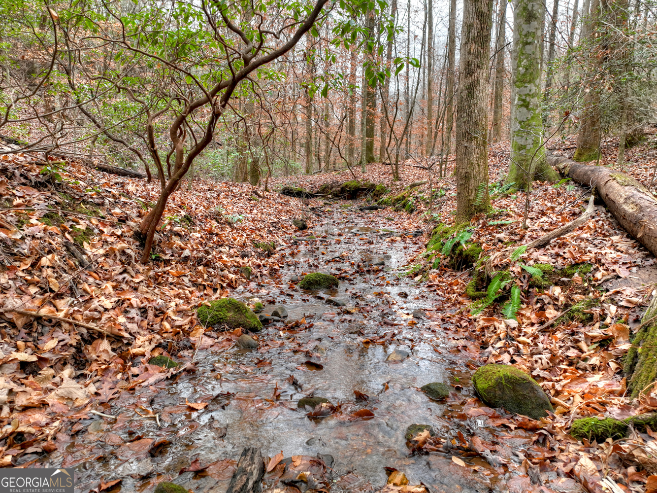 0 Spruill Drive Ellijay GA 30536