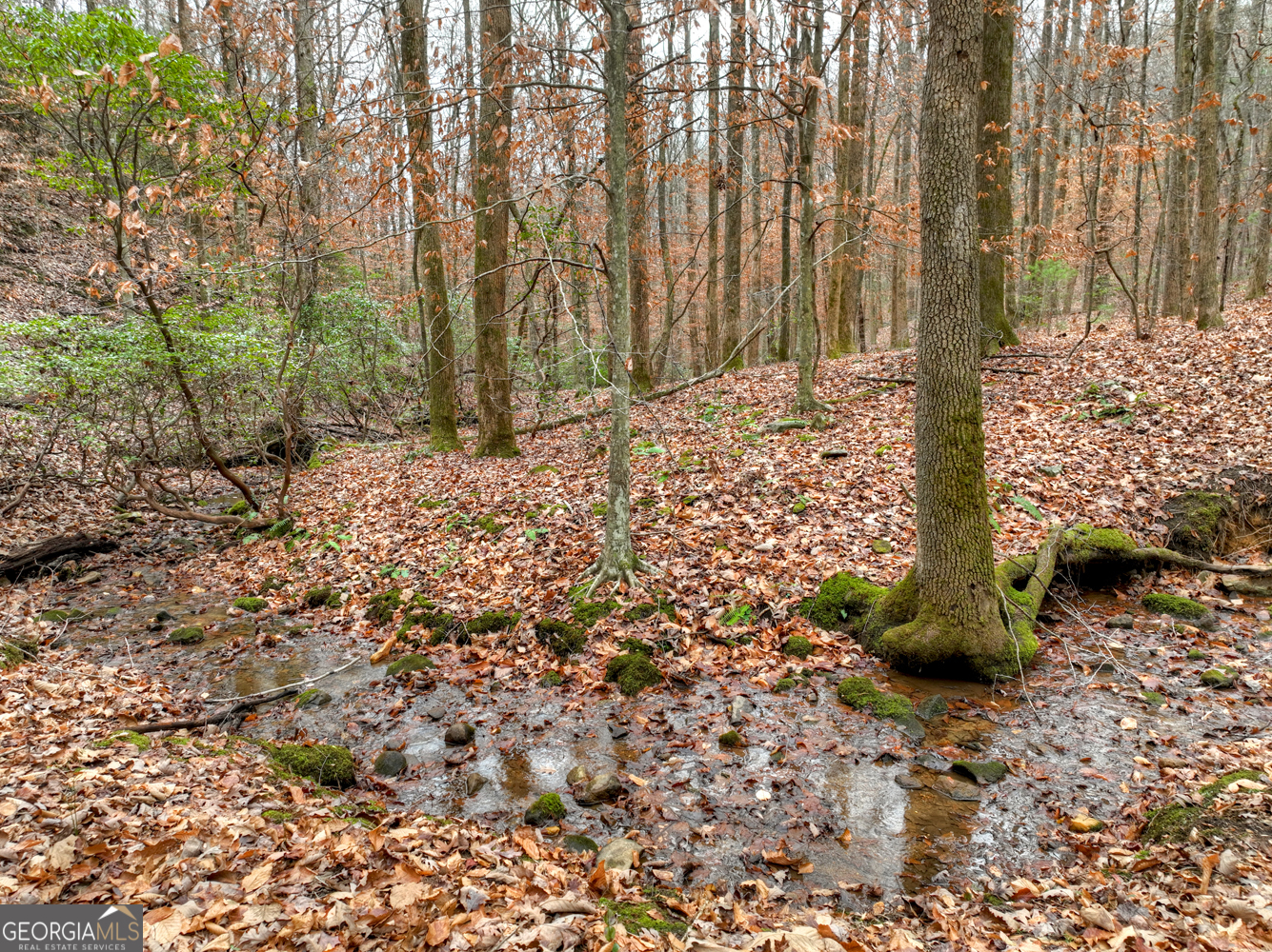 0 Spruill Drive Ellijay GA 30536