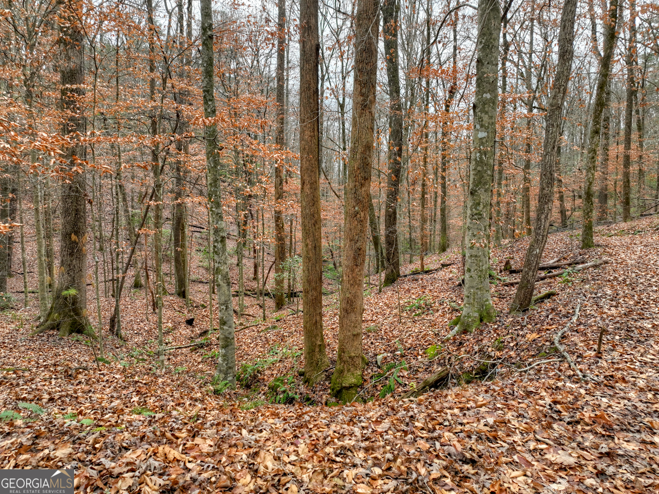 0 Spruill Drive Ellijay GA 30536