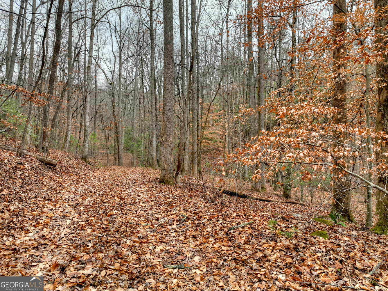 0 Spruill Drive Ellijay GA 30536