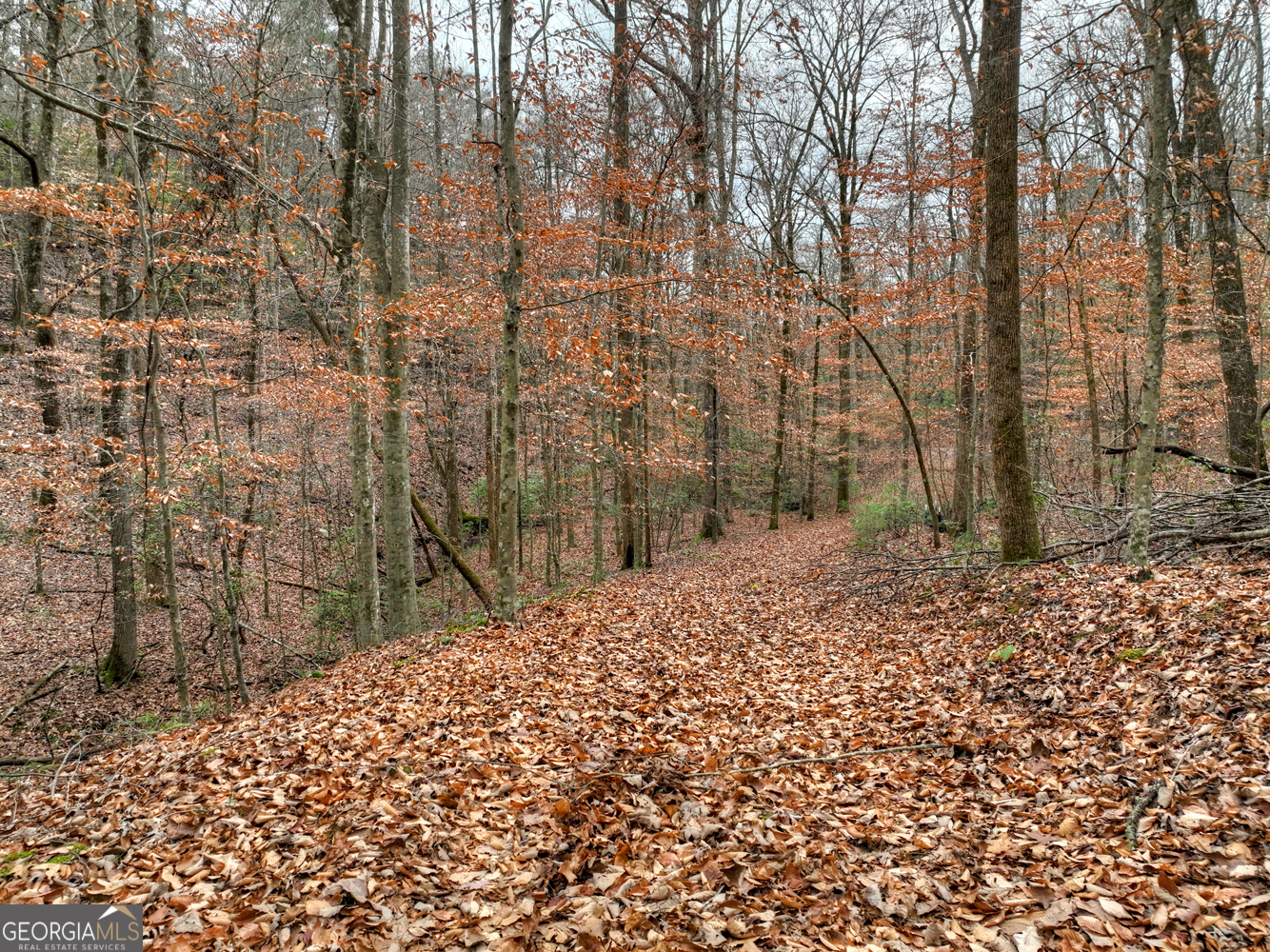 0 Spruill Drive Ellijay GA 30536